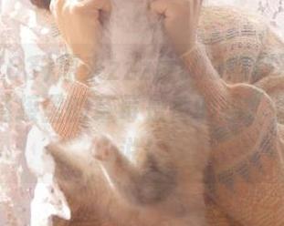 原来zzzttt03黑料不打烊万篇长征链接里的草莓是香的吗，果吃了再说！