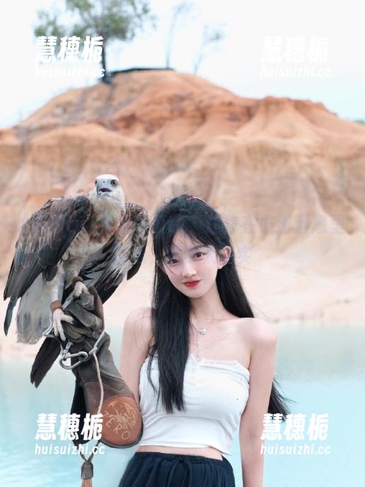免费吃瓜tv，让你在小道消息里翻滚，赞美太真实