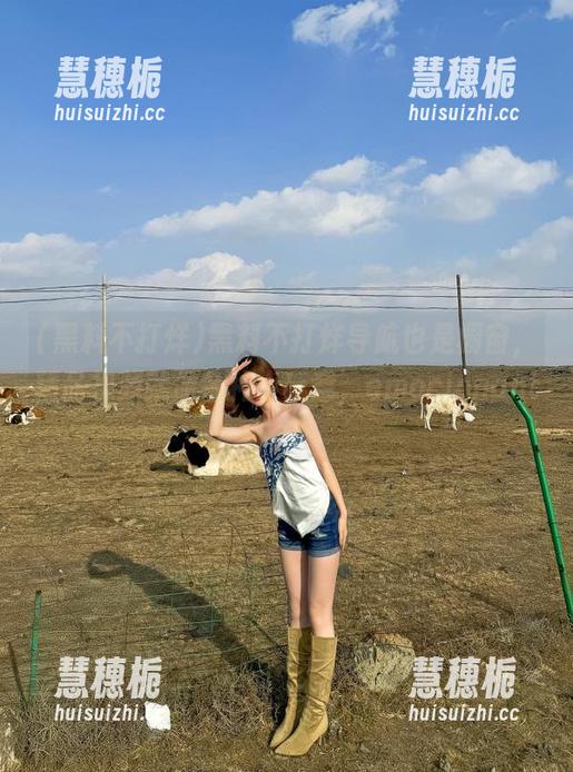 黑料不打烊导航也是橱窗，精品视频就像各种小玩意，emocionante!