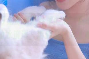 免费黑网料里的瓜，滋味就像夏天的冰淇淋，清爽又让人上瘾！